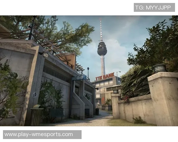 揭秘王强成功之路探讨CSGO背后的策略与团队精神